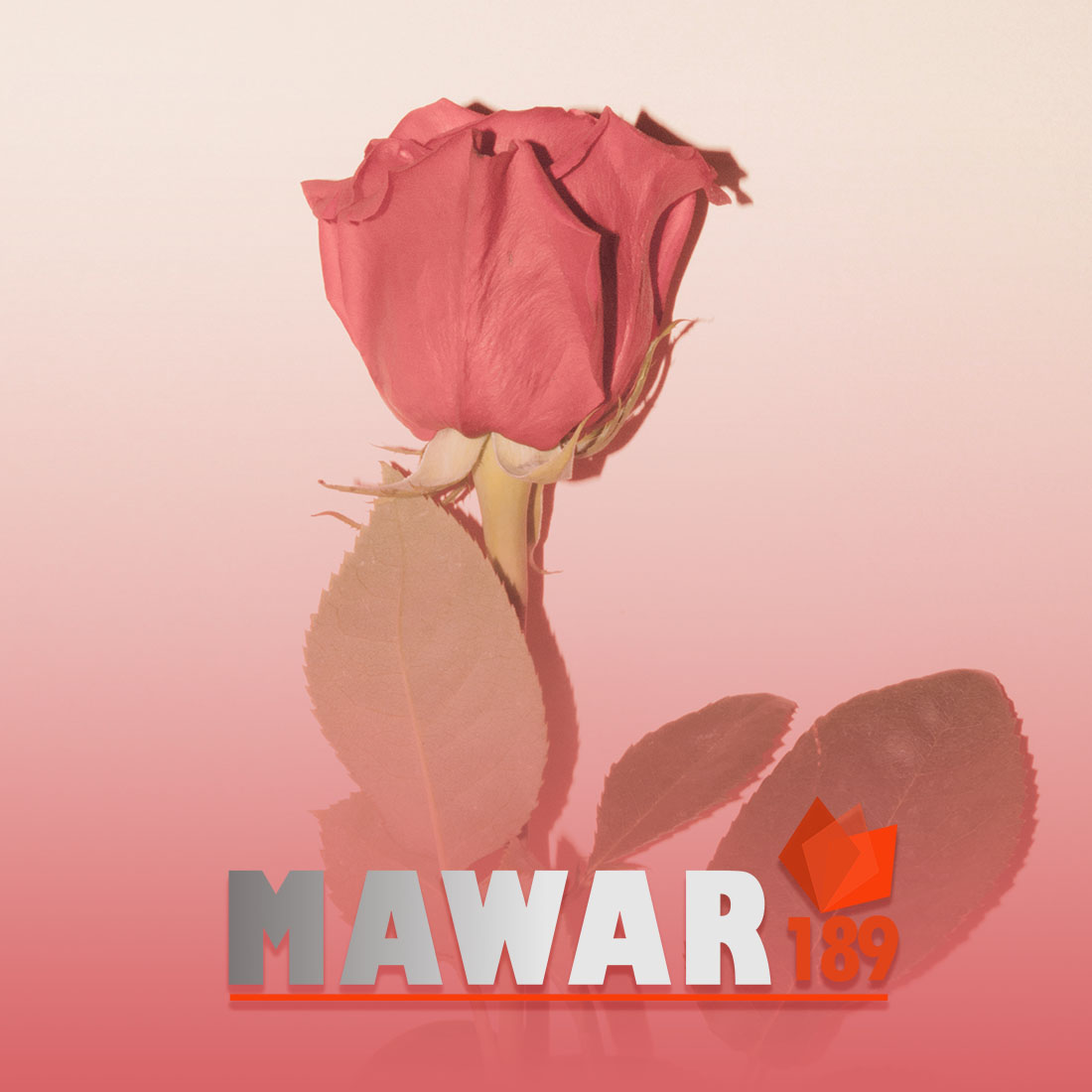 MAWAR189 login